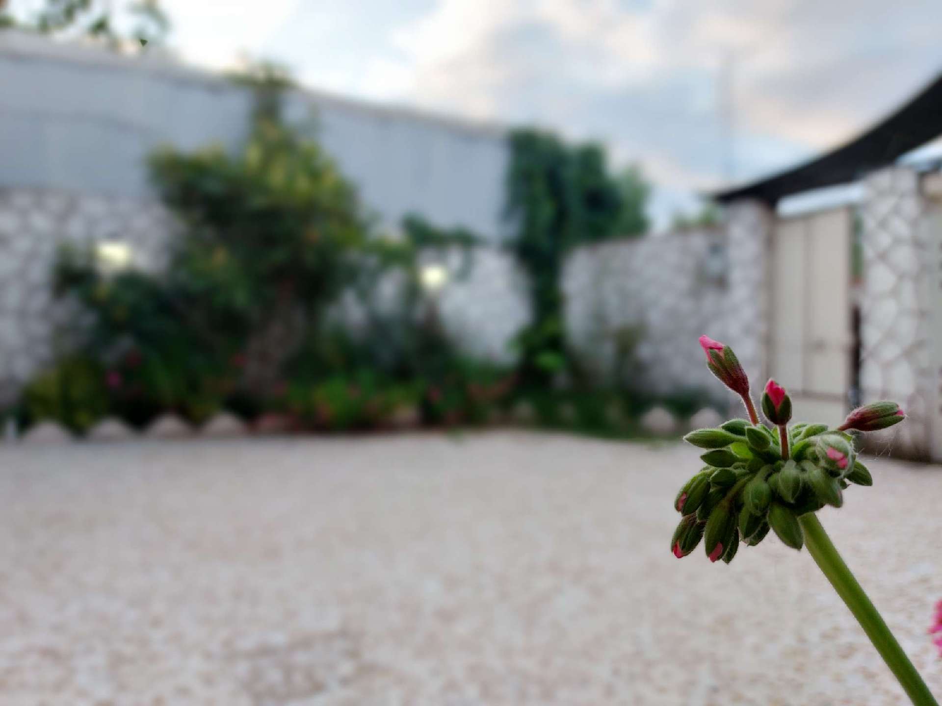 تصویر یه ویلای فلت در موقعیت روستایی با محوطه بزرگ