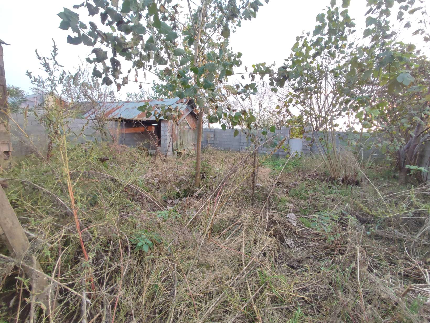 تصویر ویلا340متری با بنای75متری در خشکبیجار