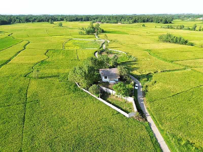 تصویر خانه کلنگی800متری با بنای110متری