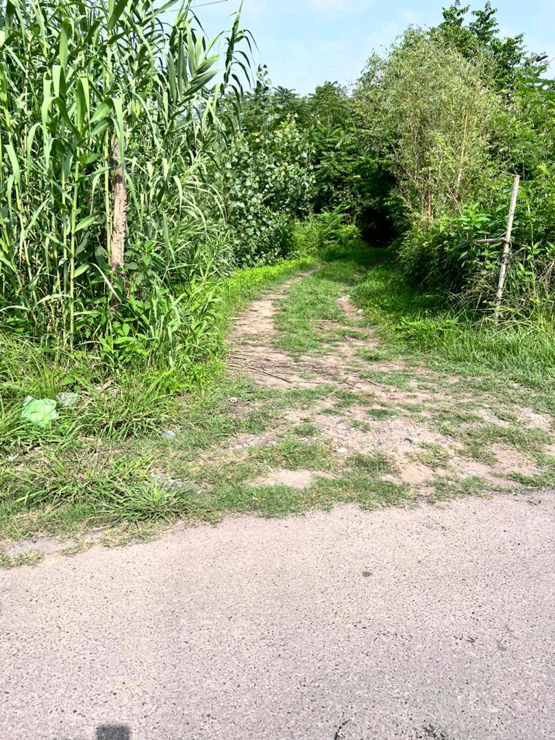 تصویر خانه روستایی در گیلان