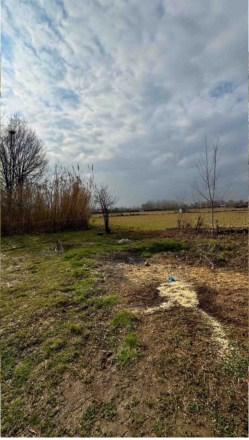 تصویر خانه روستایی در گیلان