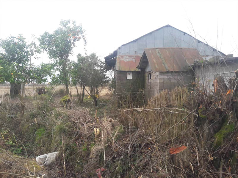 تصویرخانه بامحوطه 800 متری