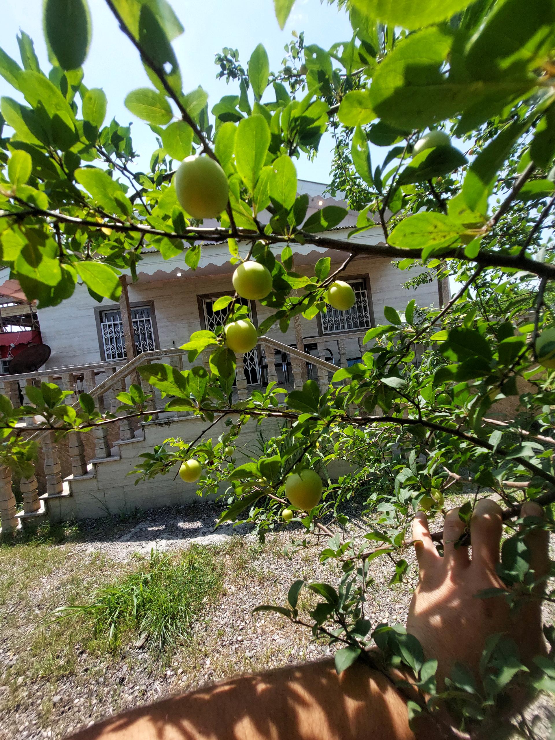 تصویر خانه روستایی در گیلان