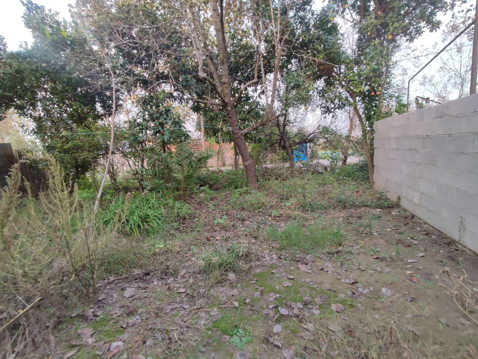 تصویر ویلا340متری با بنای75متری در خشکبیجار