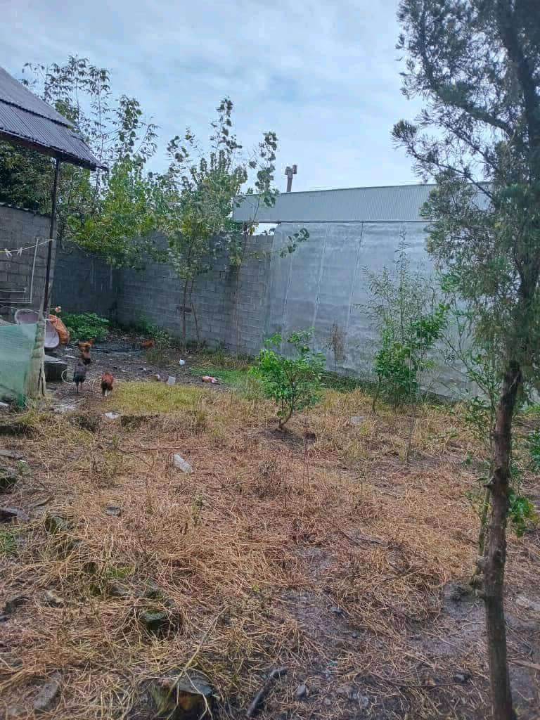 تصویر خانه روستایی در گیلان