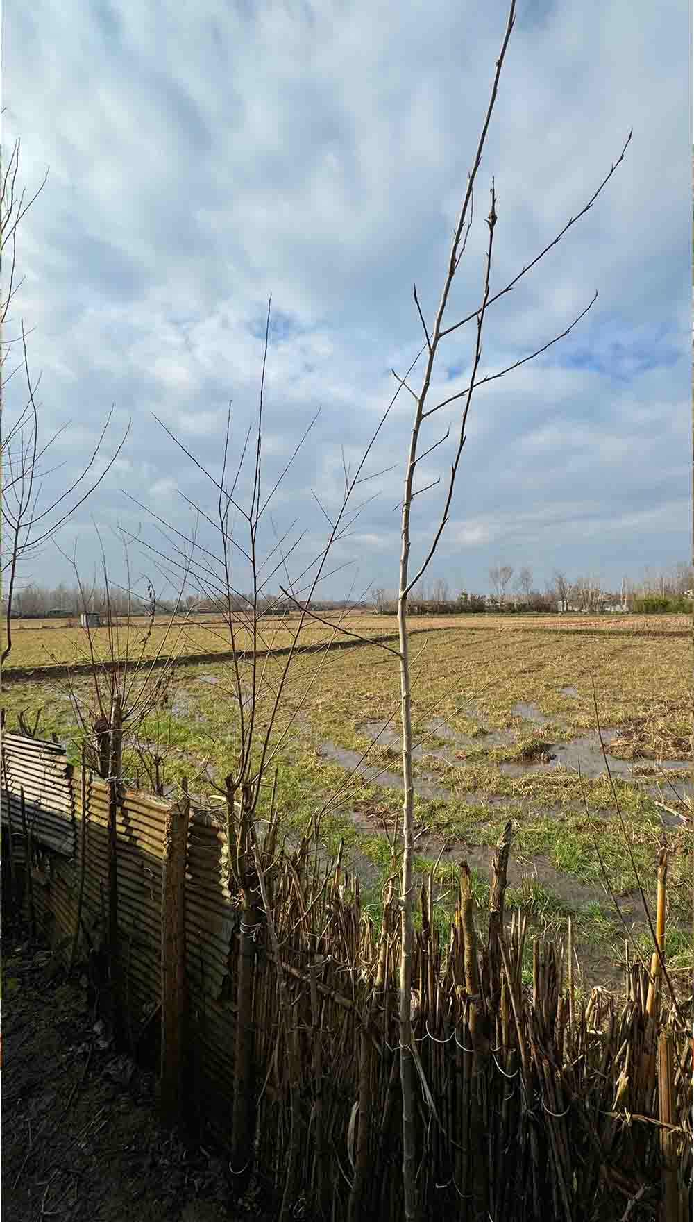 تصویر خانه روستایی در گیلان