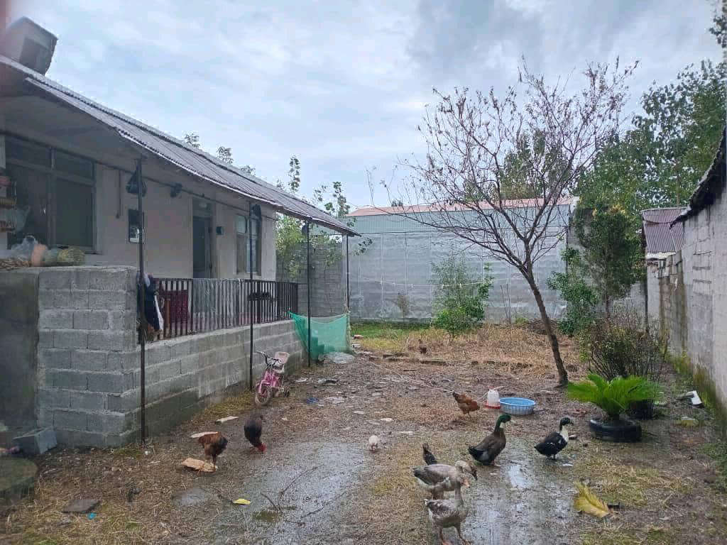 تصویر خانه روستایی در گیلان