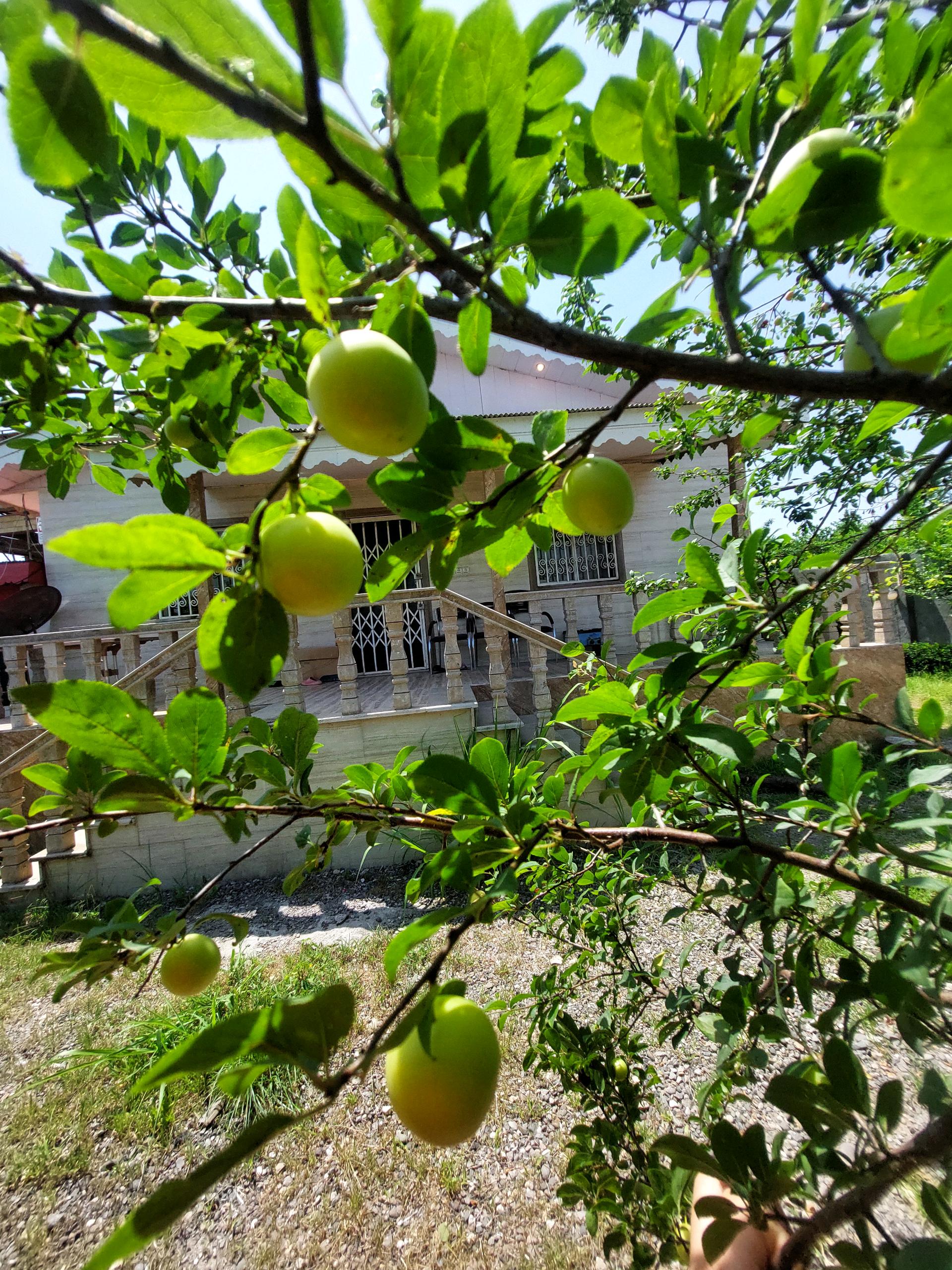 تصویر خانه روستایی در گیلان